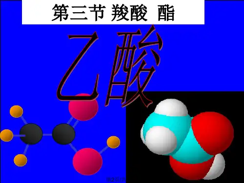 高二化学羧酸酯.pptx