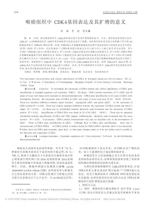 喉癌组织中CDK4基因表达及其扩增的意义