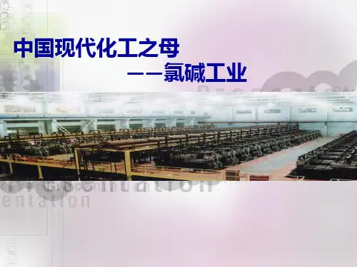 氯碱工业ppt实用资料