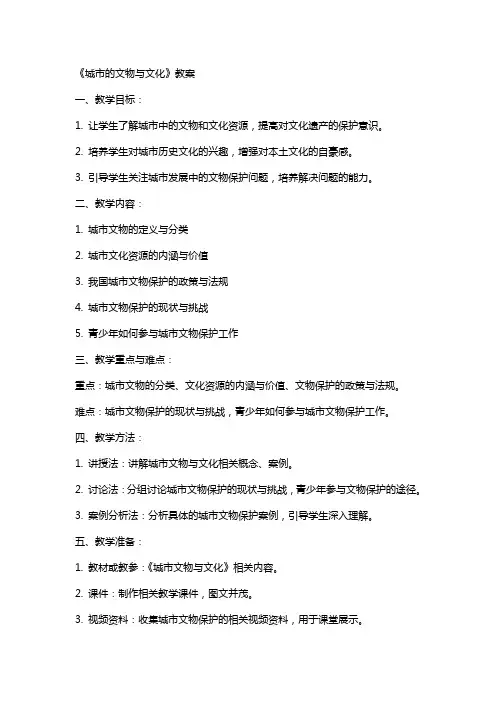 《城市的文物与文化》教案