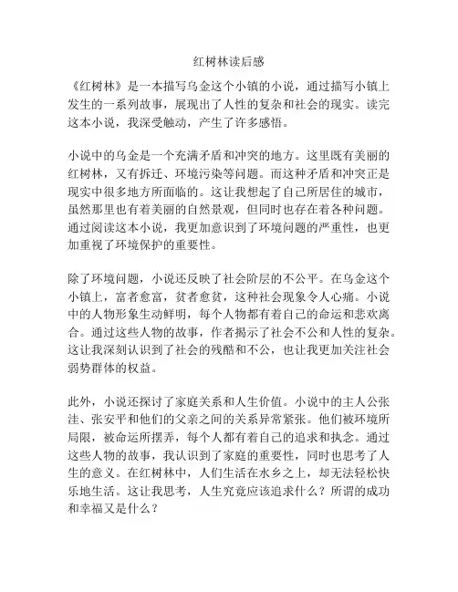 红树林读后感