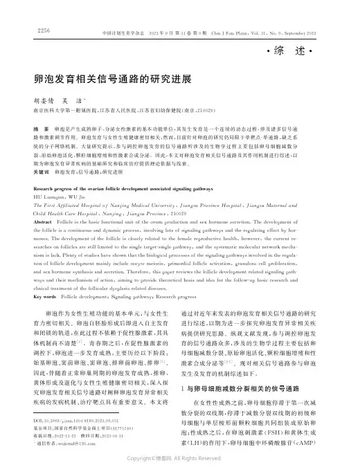 卵泡发育相关信号通路的研究进展
