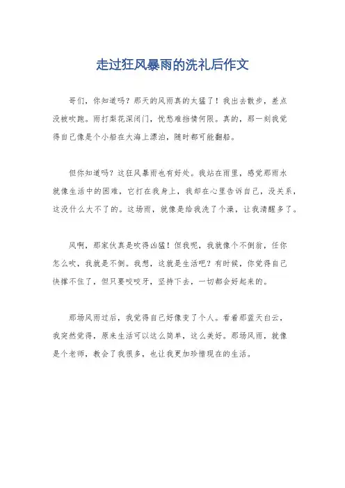 走过狂风暴雨的洗礼后作文