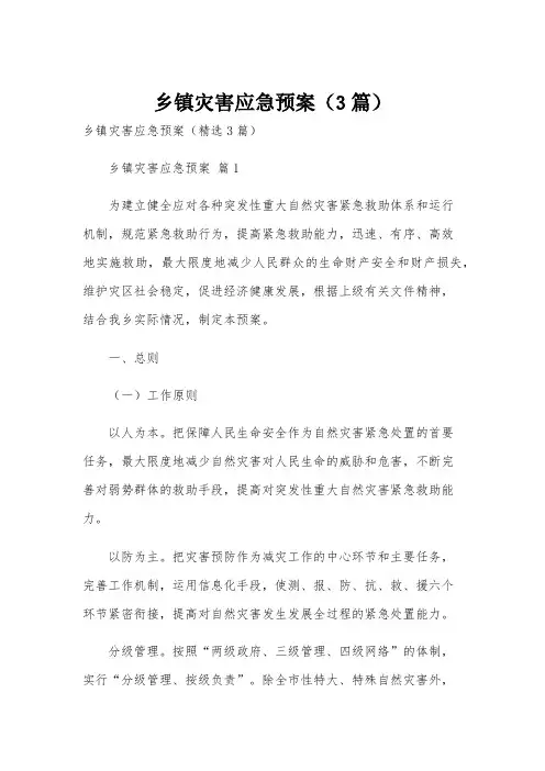 乡镇灾害应急预案(3篇)