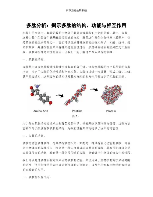 多肽分析：揭示多肽的结构、功能与相互作用
