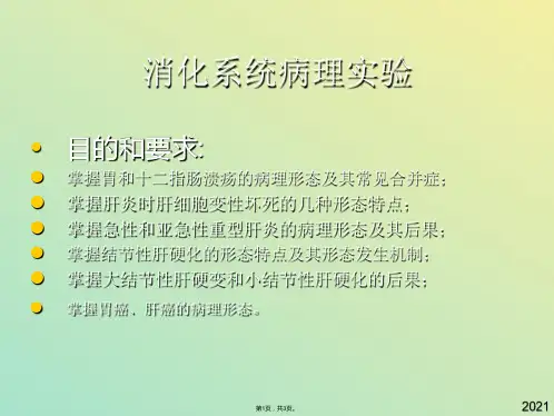 消化系统病理实验(与“形态”有关文档共3张)