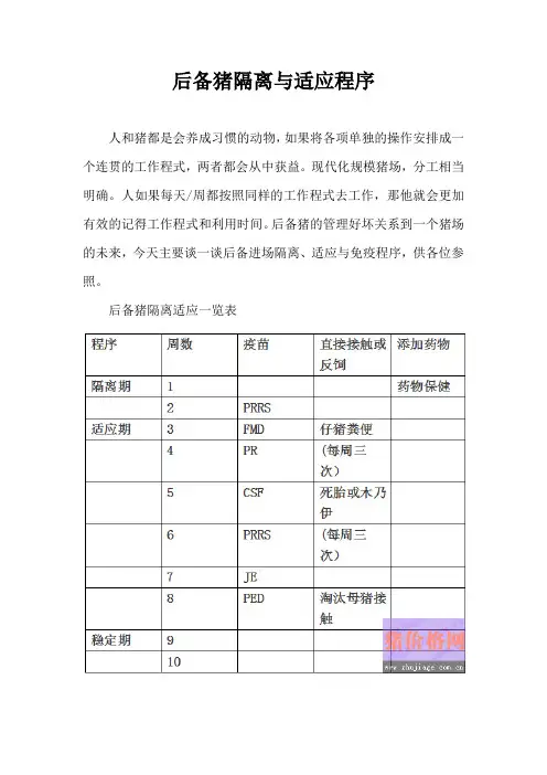 后备猪隔离与适应程序