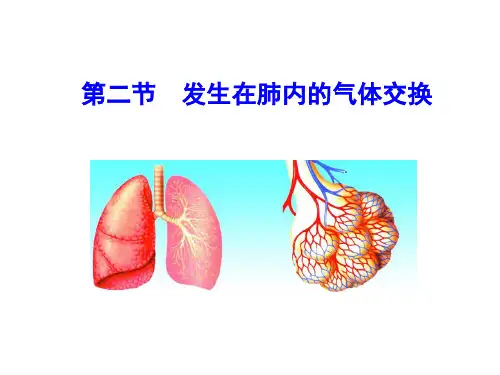 人教版七年级生物下册 第四单元 第三章人体的呼吸第二节  发生在肺内的气体交换