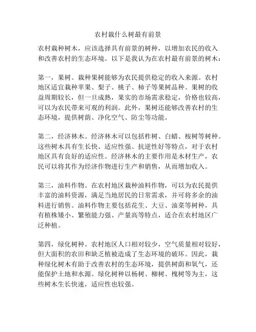 农村栽什么树最有前景