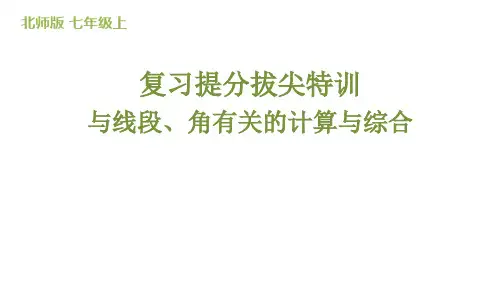复习提分拔尖特训(与线段、角有关的计算与综合)课件+2024-2025学年北师大版数学七年级上册