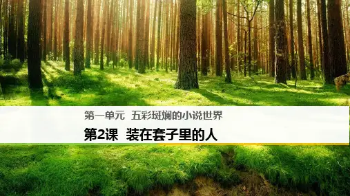 人教新课标版语文高二人教版必修五课件 第2课装在套子里的人