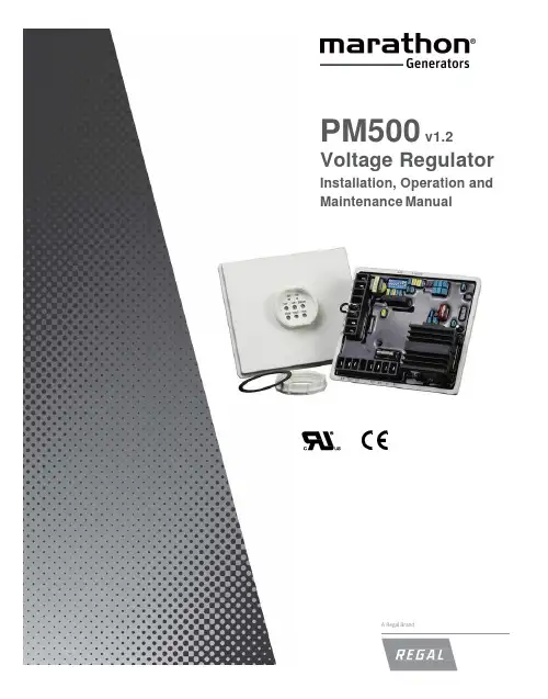 PM500 电压调节器安装，操作和维护手册说明书