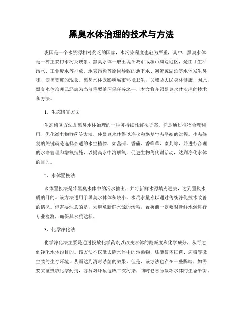 黑臭水体治理的技术与方法
