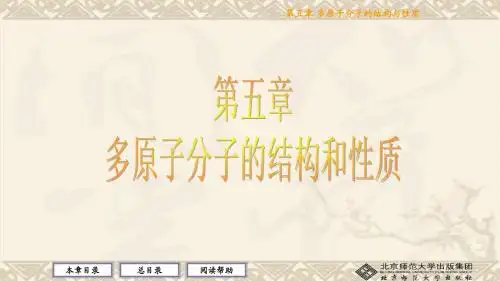 5多原子分子的结构和性质