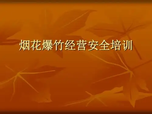 烟花爆竹经营安全培训