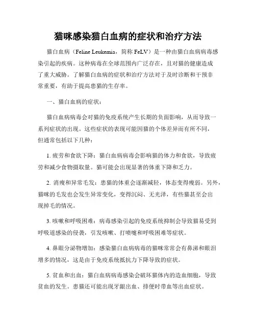 猫咪感染猫白血病的症状和治疗方法