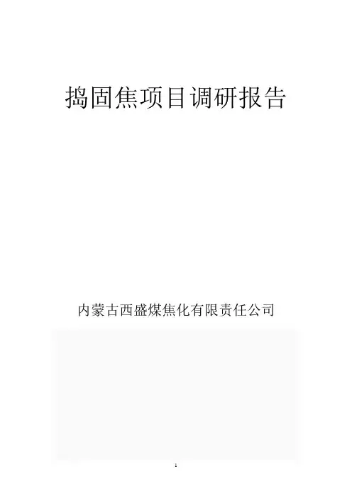 捣固焦调研报告