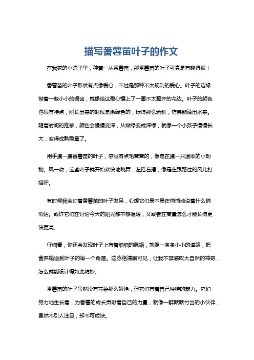描写番薯苗叶子的作文