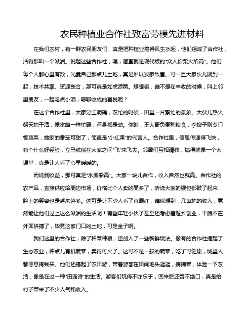 农民种植业合作社致富劳模先进材料