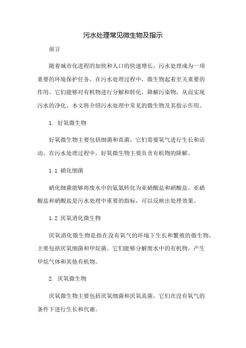 污水处理常见微生物及指示