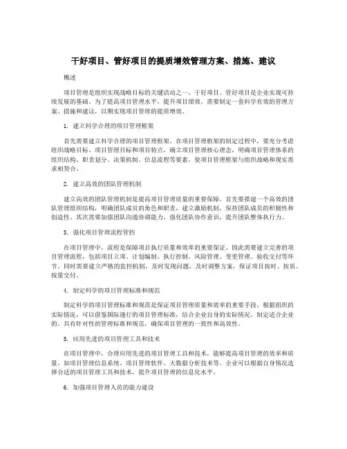 干好项目、管好项目的提质增效管理方案、措施、建议