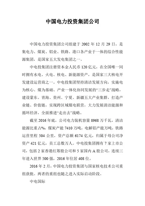 中国电力投资集团公司