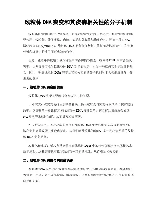 线粒体DNA突变和其疾病相关性的分子机制