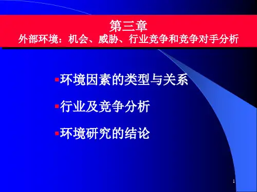 外部环境：机会、威胁、行业竞争和竞争对手分析