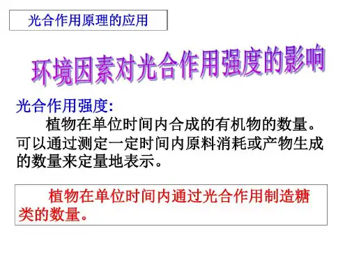 环境因素对光合作用强度影响