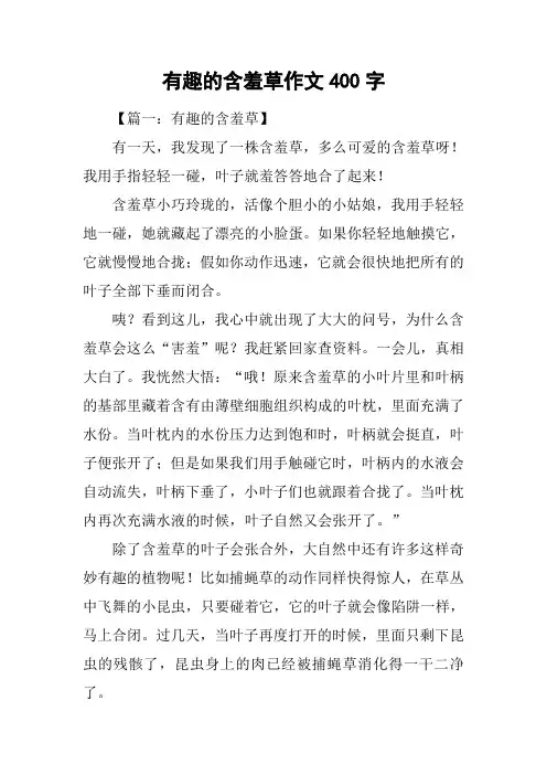 有趣的含羞草作文400字