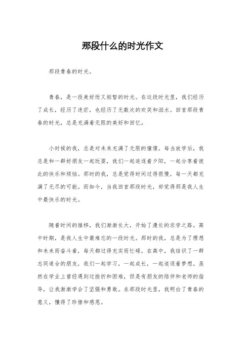 那段什么的时光作文