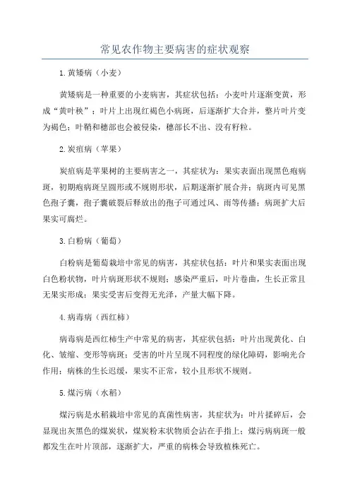 常见农作物主要病害的症状观察
