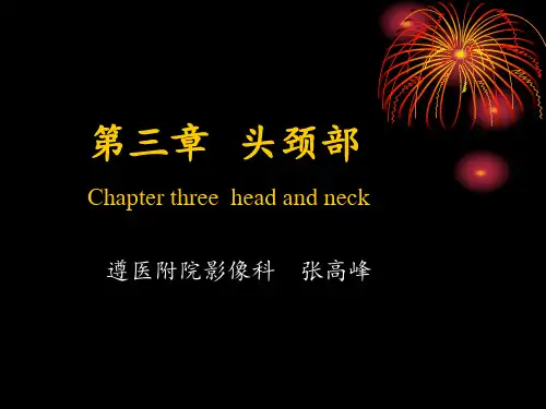 医学影像学 头颈部1