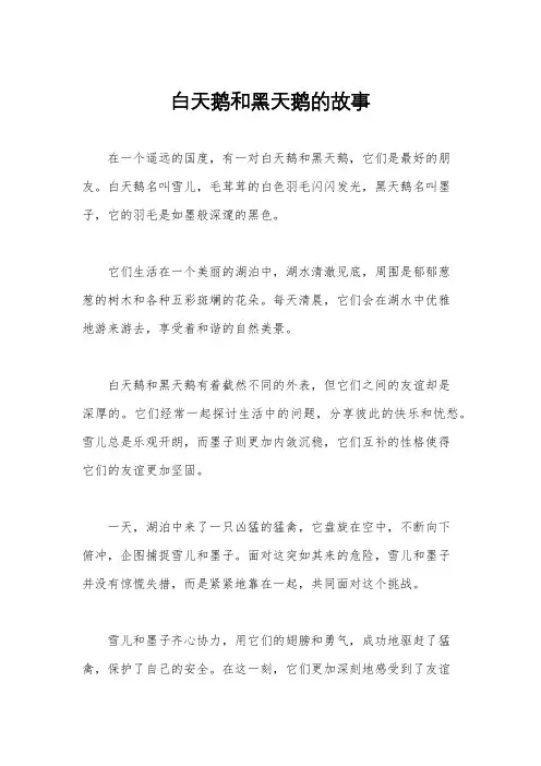 白天鹅和黑天鹅的故事