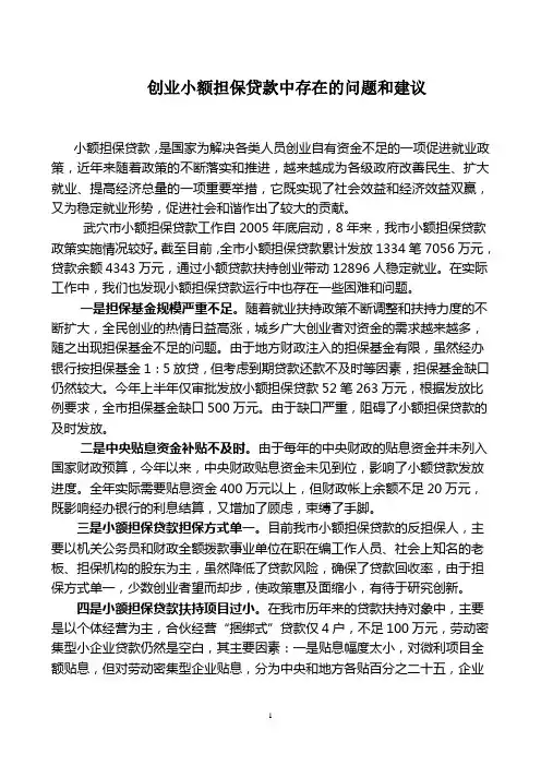 创业小额担保贷款中存在的问题和建议