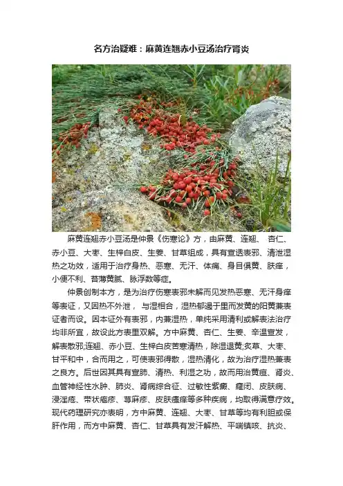 名方治疑难：麻黄连翘赤小豆汤治疗肾炎