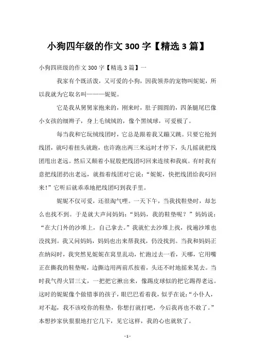 小狗四年级的作文300字【3篇】