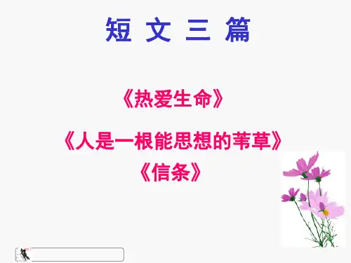 《短文三篇》优秀课件