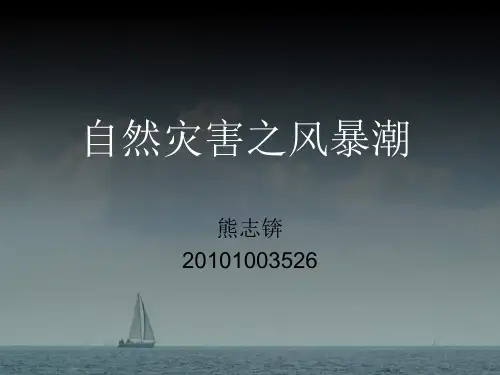 自然灾害之风暴潮