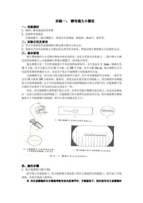 酵母菌大小测定及显微镜直接计数