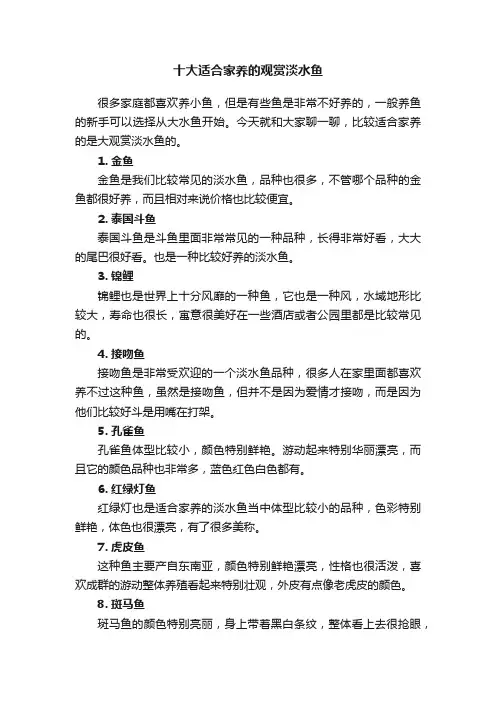 十大适合家养的观赏淡水鱼