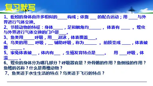 第三节动物的运动课件济南版生物七年级上册