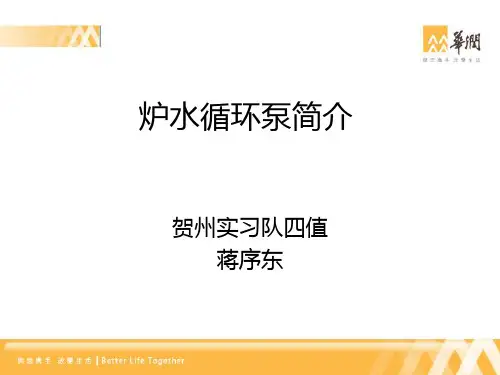 炉水循环泵简介