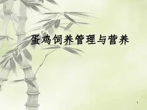 蛋鸡培训资料PPT课件