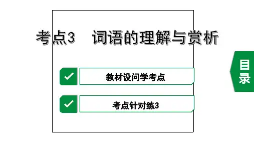2020年广东中考语文文学类文本阅读——考点3  词语的理解与赏析