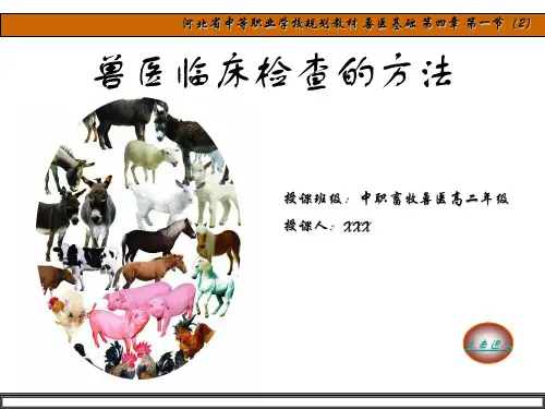 中职兽医基础——兽医临床检查方法