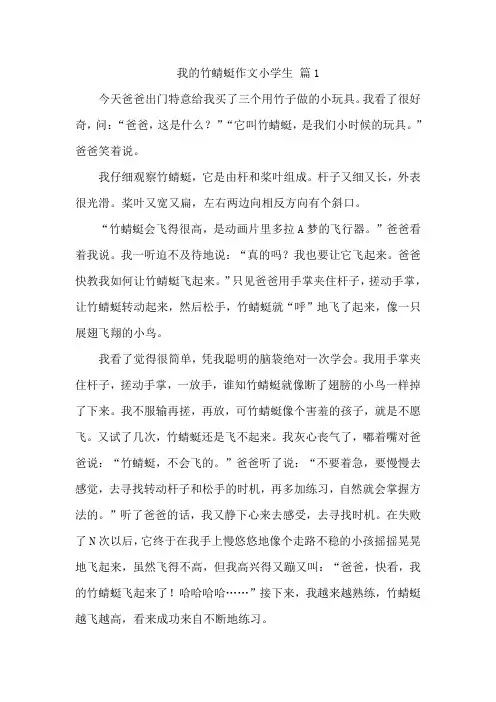 我的竹蜻蜓作文小学生