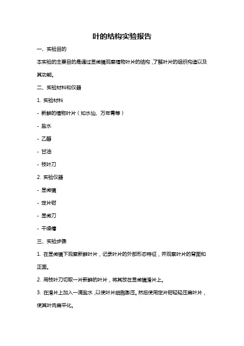叶的结构实验报告