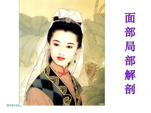 面部局解课件