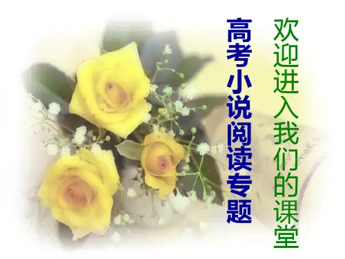 高考小说阅读专题PPT课件